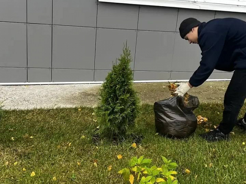 Готовимся к зиме: как мы помогаем растениям пережить холода